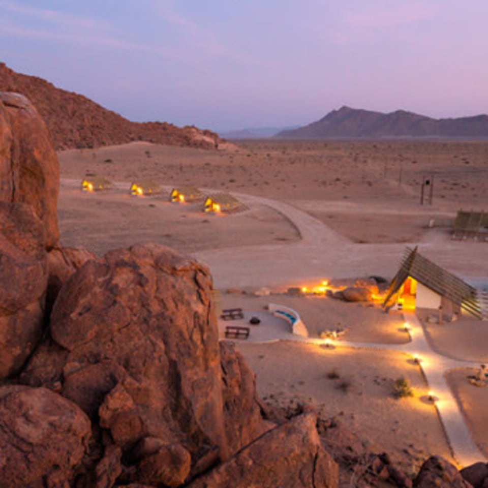 Desert Quiver Camp
